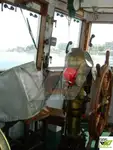 ଟୋବୋଟ୍ ବିକ୍ରୟ ପାଇଁ