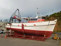 ଟ୍ରଲର ବିକ୍ରୟ ପାଇଁ