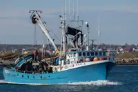 ପର୍ସ ସେନେର ବିକ୍ରୟ ପାଇଁ