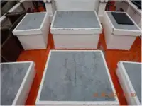 ଟ୍ରଲର ବିକ୍ରୟ ପାଇଁ