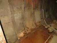 ଟୋବୋଟ୍ ବିକ୍ରୟ ପାଇଁ