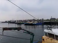 ଟ୍ରଲର ବିକ୍ରୟ ପାଇଁ