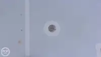 ଡାଇଭ୍ ସପୋର୍ଟ ବିକ୍ରୟ ପାଇଁ