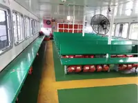 ଫେରୀ ଜାହାଜ ବିକ୍ରୟ ପାଇଁ