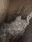 ବଲ୍କ କ୍ୟାରିୟର ବିକ୍ରୟ ପାଇଁ