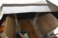 ଲଙ୍ଗଲାଇନର ବିକ୍ରୟ ପାଇଁ