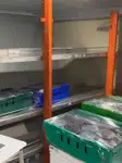 କ୍ରୁଜ୍‌ଫେରୀ ବିକ୍ରୟ ପାଇଁ