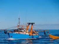 Trawler ବିକ୍ରୟ ପାଇଁ