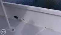 ଡାଇଭ୍ ସପୋର୍ଟ ବିକ୍ରୟ ପାଇଁ