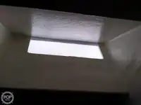 କଟର ବିକ୍ରୟ ପାଇଁ