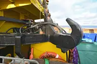 ଟୋବୋଟ୍ ବିକ୍ରୟ ପାଇଁ