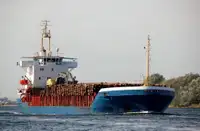 ବଲ୍କ କ୍ୟାରିୟର ବିକ୍ରୟ ପାଇଁ