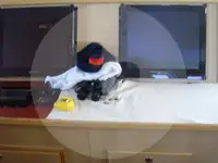 ଟ୍ରଲର ବିକ୍ରୟ ପାଇଁ