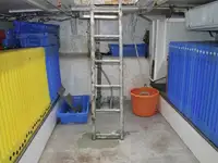 ଟ୍ରଲର ବିକ୍ରୟ ପାଇଁ