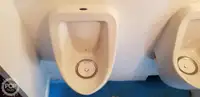 କାଟାମାରାନ୍ ବିକ୍ରୟ ପାଇଁ
