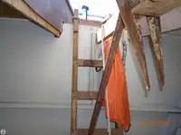 କଟର ବିକ୍ରୟ ପାଇଁ