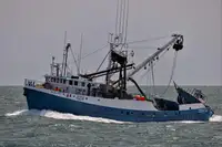 ପର୍ସ ସେନେର ବିକ୍ରୟ ପାଇଁ