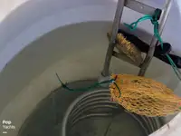 ମାଛ ପ୍ରକ୍ରିୟାକରଣ ନୌ ବିକ୍ରୟ ପାଇଁ