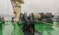 ବଲ୍କ କ୍ୟାରିୟର ବିକ୍ରୟ ପାଇଁ