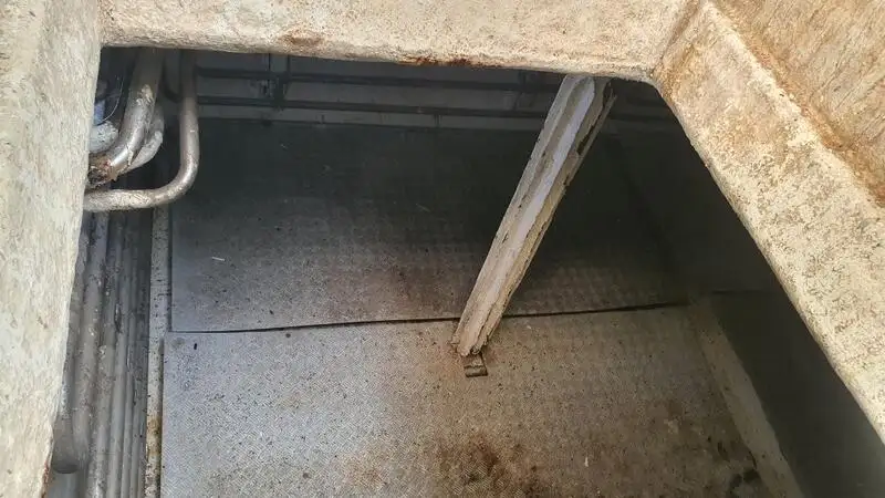 ଲଙ୍ଗଲାଇନର ବିକ୍ରୟ ପାଇଁ