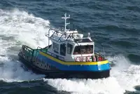 ଟୋବୋଟ୍ ବିକ୍ରୟ ପାଇଁ