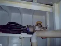 ଟୋବୋଟ୍ ବିକ୍ରୟ ପାଇଁ