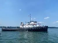 ଟୋବୋଟ୍ ବିକ୍ରୟ ପାଇଁ
