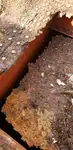 ଟୋବୋଟ୍ ବିକ୍ରୟ ପାଇଁ