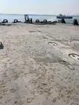 ବାର୍ଜ୍ ବିକ୍ରୟ ପାଇଁ
