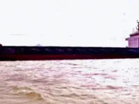 ବଲ୍କ କ୍ୟାରିୟର ବିକ୍ରୟ ପାଇଁ