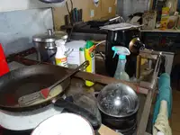 କାର୍ଯ୍ୟକାରୀ ନୌକା ବିକ୍ରୟ ପାଇଁ