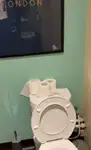କ୍ରୁଜ୍‌ଫେରୀ ବିକ୍ରୟ ପାଇଁ