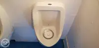 କାଟାମାରାନ୍ ବିକ୍ରୟ ପାଇଁ