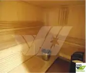 ଡାଇଭ୍ ସପୋର୍ଟ ବିକ୍ରୟ ପାଇଁ