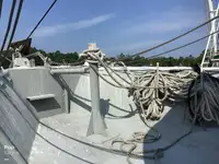ଟ୍ରଲର ବିକ୍ରୟ ପାଇଁ