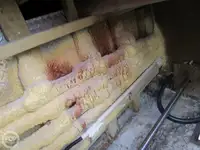 ଟ୍ରଲର ବିକ୍ରୟ ପାଇଁ