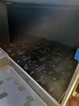 କ୍ରୁଜ୍ ଜାହାଜ ବିକ୍ରୟ ପାଇଁ