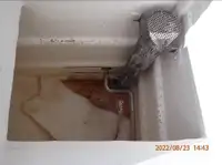 ପର୍ସ ସେନେର ବିକ୍ରୟ ପାଇଁ
