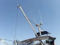 ଡାଇଭ୍ ସପୋର୍ଟ ବିକ୍ରୟ ପାଇଁ