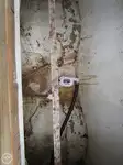 ଟ୍ରଲର ବିକ୍ରୟ ପାଇଁ