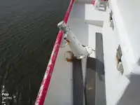 ଟ୍ରଲର ବିକ୍ରୟ ପାଇଁ