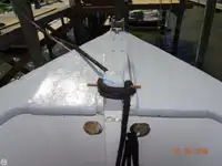 କଟର ବିକ୍ରୟ ପାଇଁ