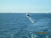 ବଲ୍କ କ୍ୟାରିୟର ବିକ୍ରୟ ପାଇଁ