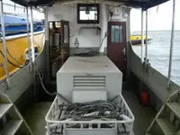 ଟୋବୋଟ୍ ବିକ୍ରୟ ପାଇଁ