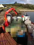 କାର୍ଯ୍ୟକାରୀ ନୌକା ବିକ୍ରୟ ପାଇଁ