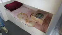 ଟ୍ରଲର ବିକ୍ରୟ ପାଇଁ
