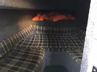 ପାଇଲଟ୍ ବୋଟ୍ ବିକ୍ରୟ ପାଇଁ