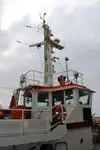 ଟୋବୋଟ୍ ବିକ୍ରୟ ପାଇଁ