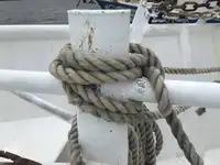 ଟ୍ରଲର ବିକ୍ରୟ ପାଇଁ