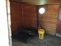 ଟୋବୋଟ୍ ବିକ୍ରୟ ପାଇଁ